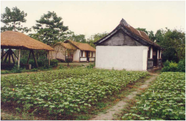 輔館露天復(fù)原陳列